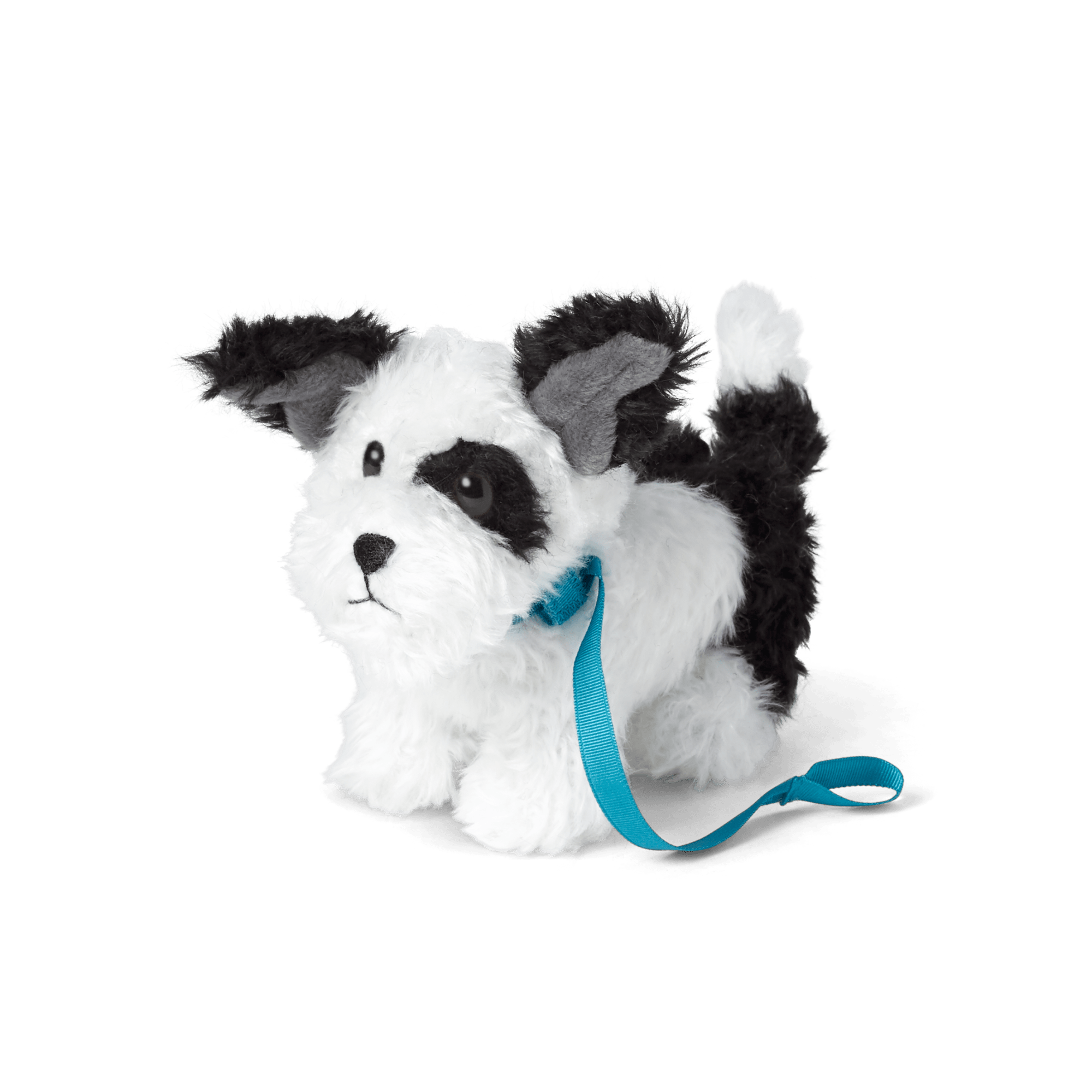 Melody's Dog. Bo (Historical Characters)