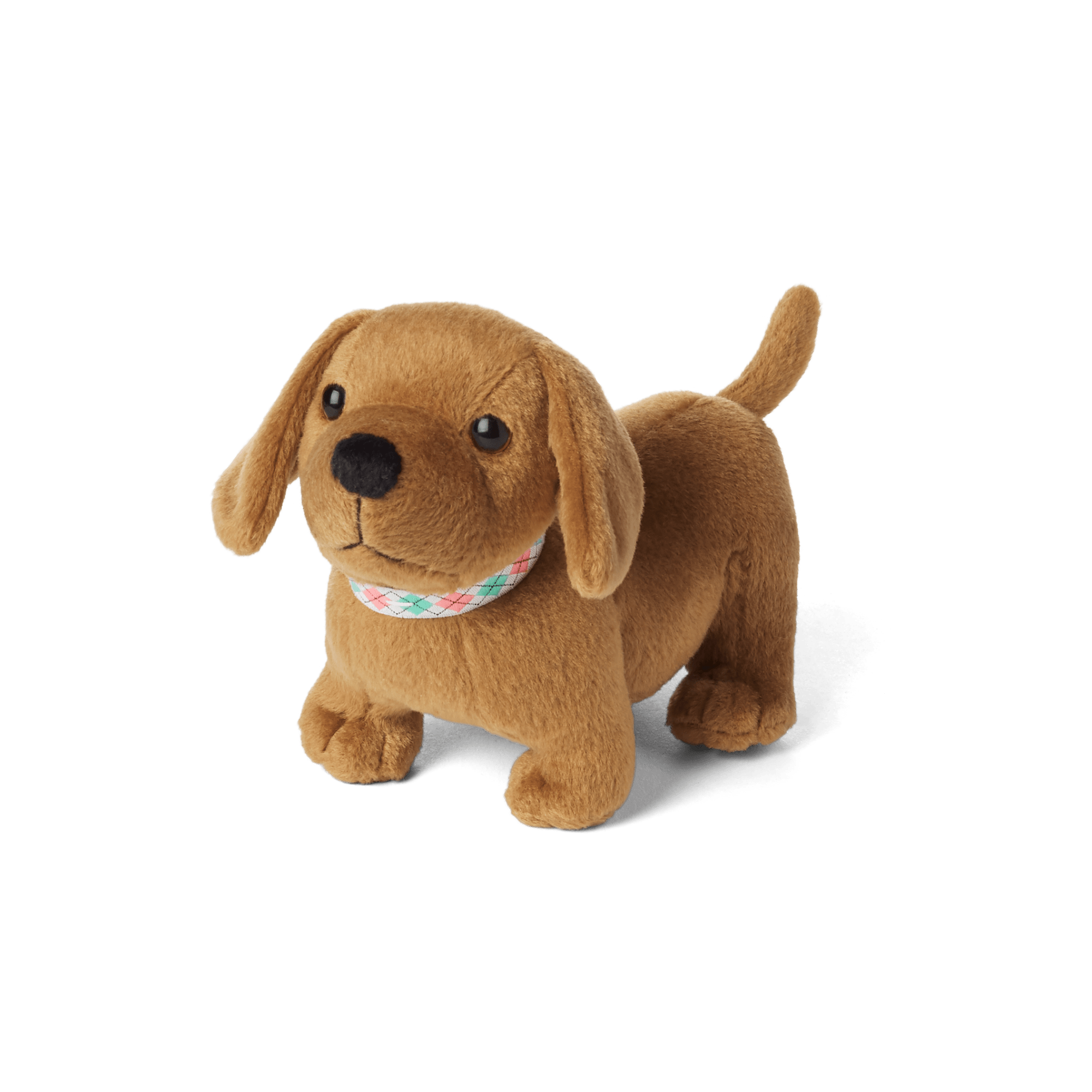 Maryellen's Dog. Scooter (Historical Characters)