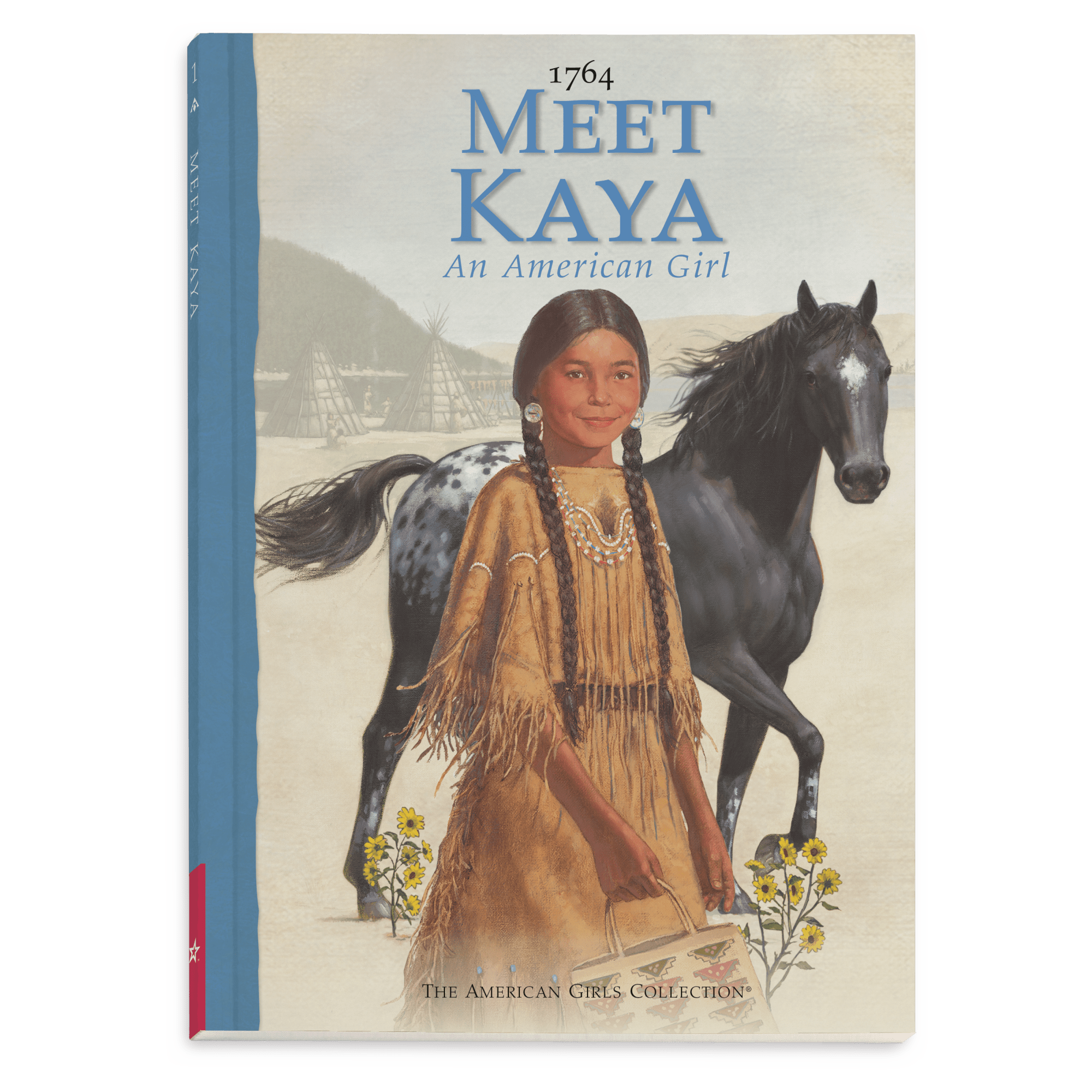Kaya 18-inch Doll. Book & Accessories (Historical Characters) - Image 12