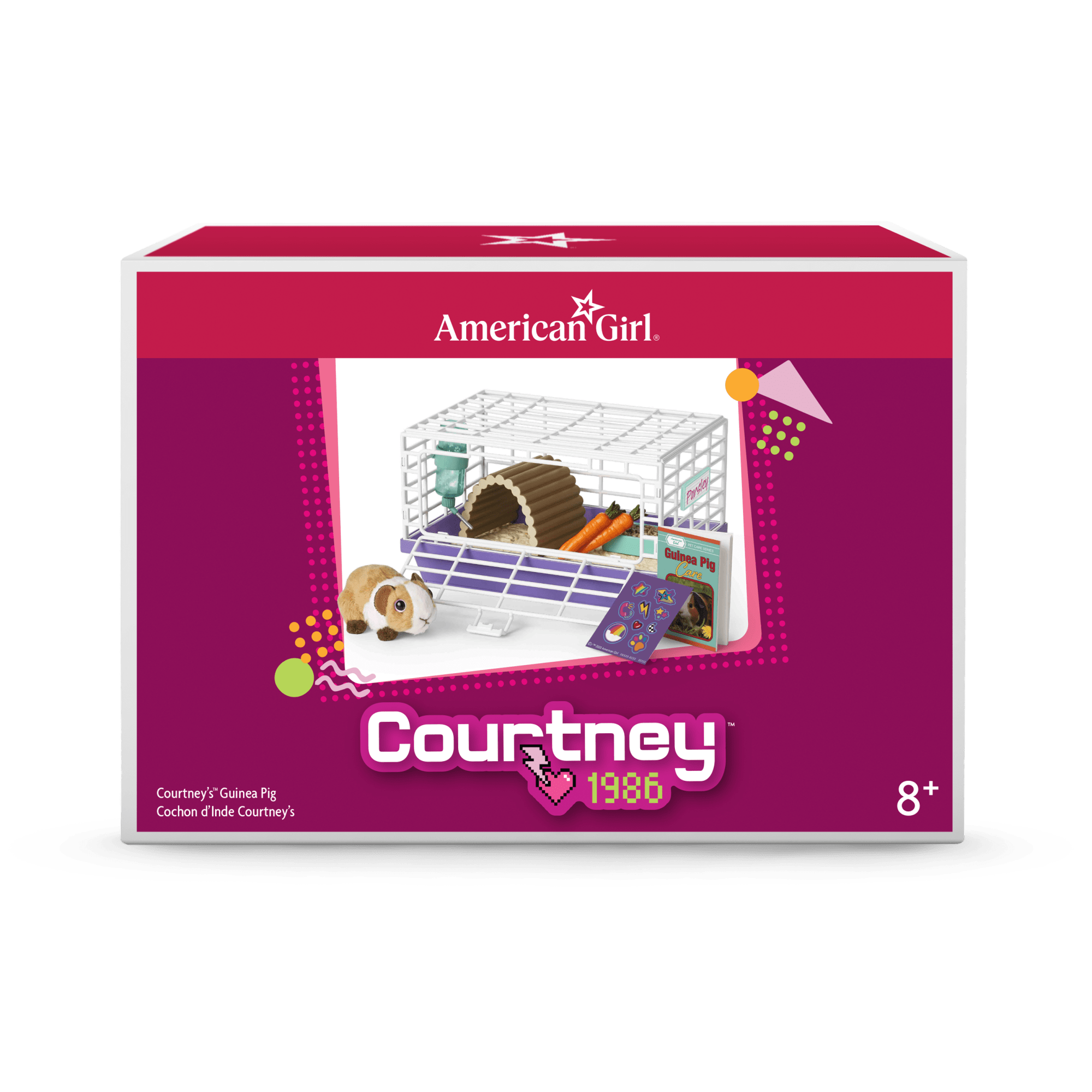 Courtney's Guinea Pig (Historical Characters) - Image 3